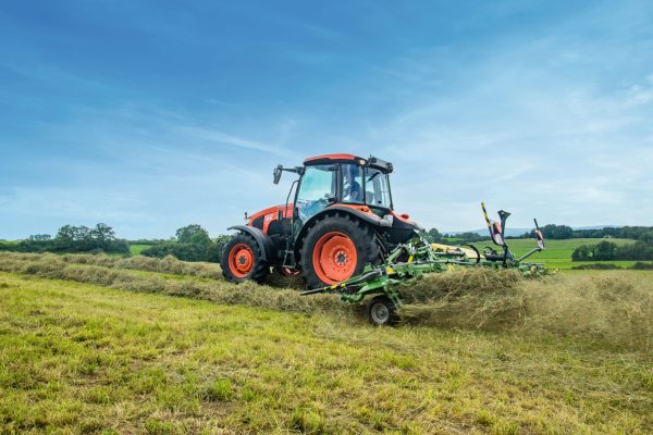 Gruenland_d0d71b7d07